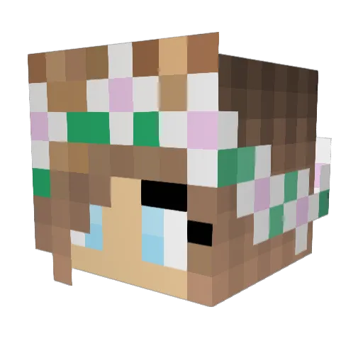 haileyjohnston12 Minecraft avatar head, 3D render