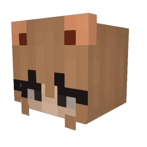 haileymydarling_ Minecraft avatar head, 3D render