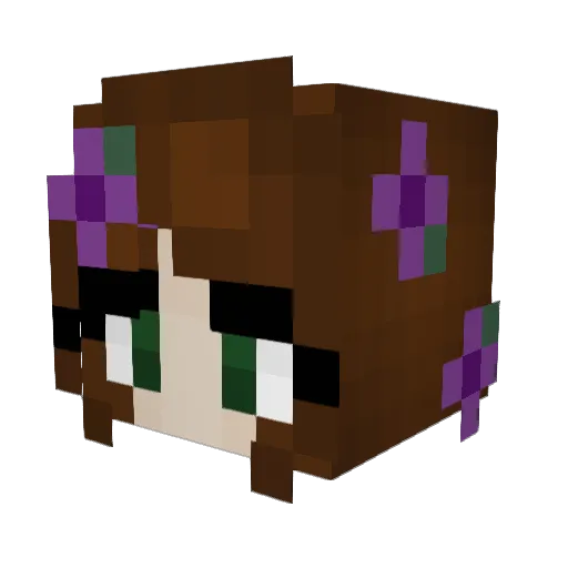 haileyscommit Minecraft avatar head, 3D render