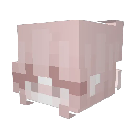 haileyshzz2 Minecraft avatar head, 3D render