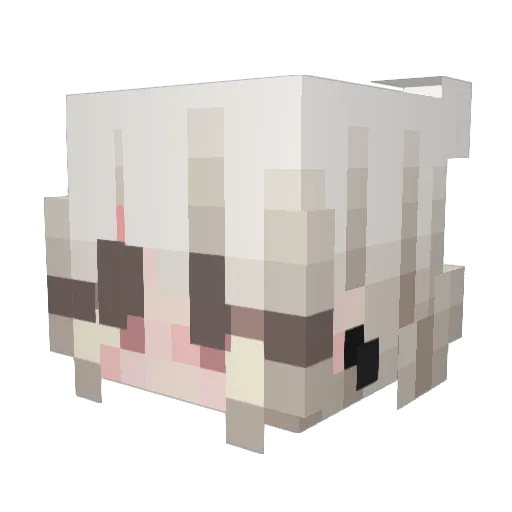 haileywoof Minecraft avatar head, 3D render