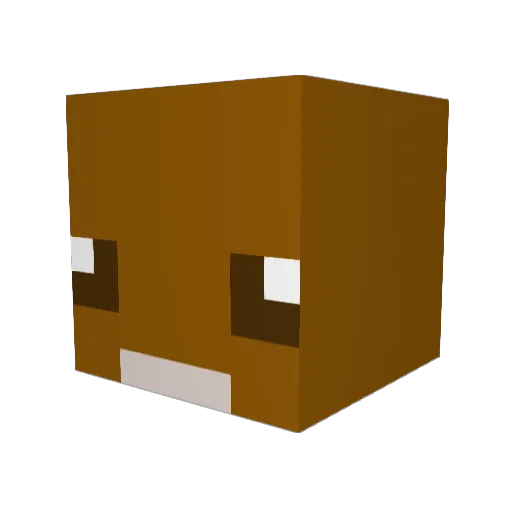 haileyyww Minecraft avatar head, 3D render