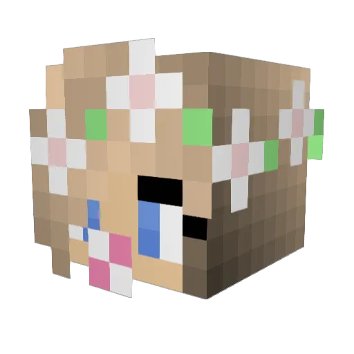 haileyzero Minecraft avatar head, 3D render