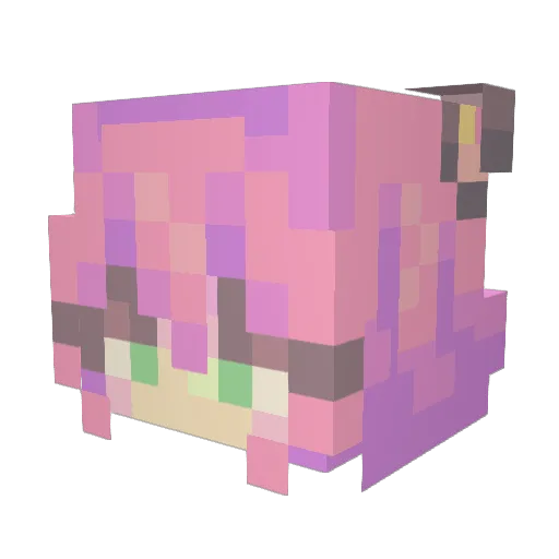 hailkid Minecraft avatar head, 3D render