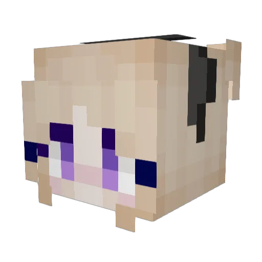 hailsaintniko Minecraft avatar head, 3D render