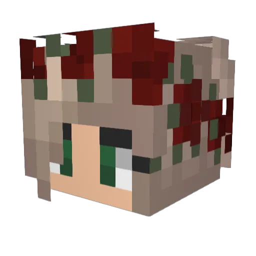 hailsbizzer Minecraft avatar head, 3D render