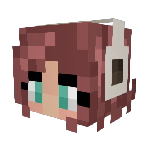 hailss11 Minecraft avatar head, 3D render
