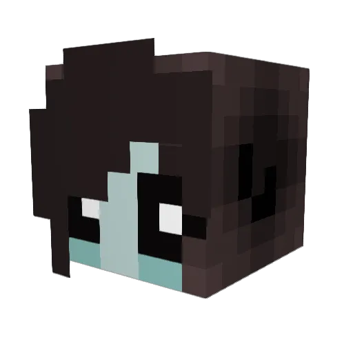hailstorm246 Minecraft avatar head, 3D render