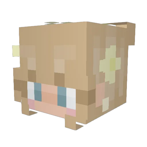 hailstorm702 Minecraft avatar head, 3D render