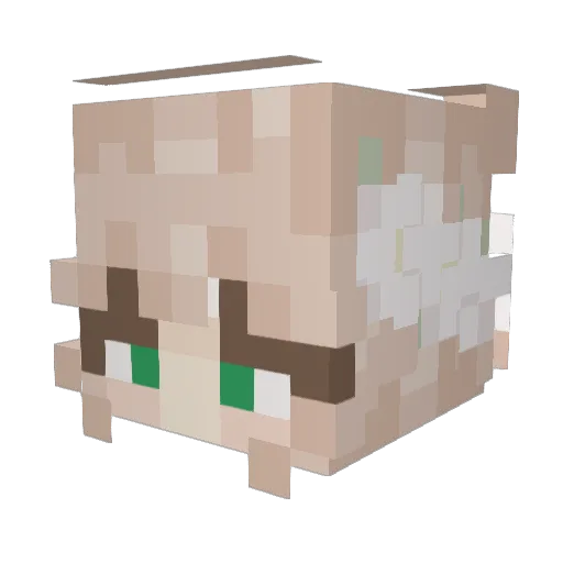 hailsxx Minecraft avatar head, 3D render