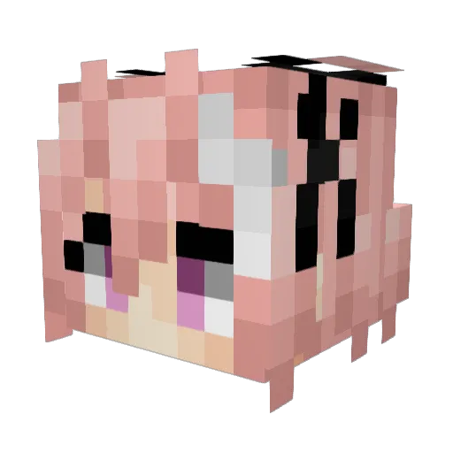 hailtohell Minecraft avatar head, 3D render
