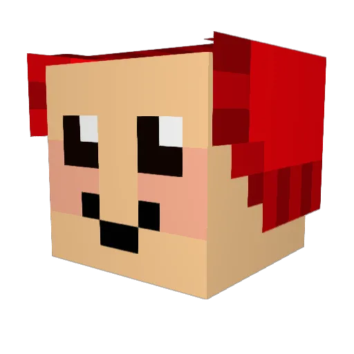 hailtothechi Minecraft avatar head, 3D render