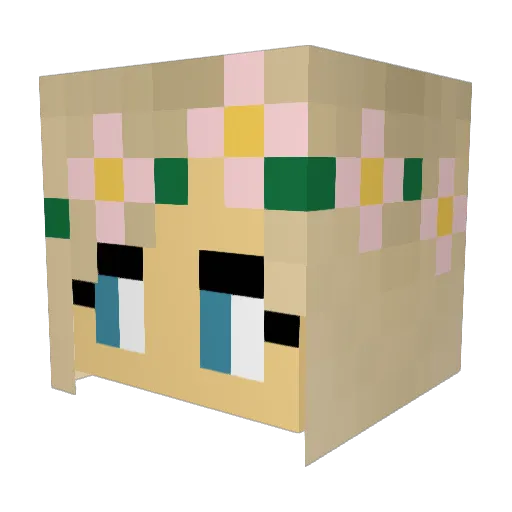 hailwalk Minecraft avatar head, 3D render