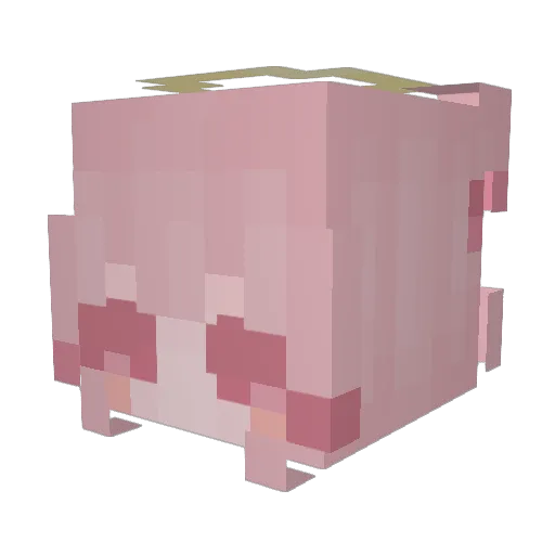 hailwy Minecraft avatar head, 3D render
