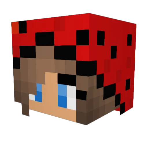 hairbobble Minecraft avatar head, 3D render