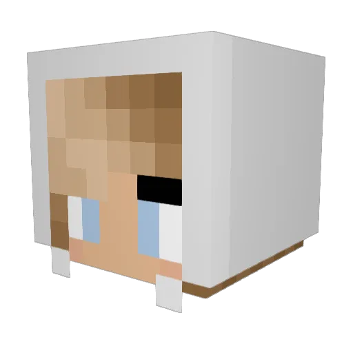 hairspray11 Minecraft avatar head, 3D render