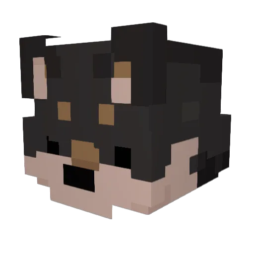 hairypit Minecraft avatar head, 3D render