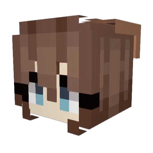 haishan_l Minecraft avatar head, 3D render