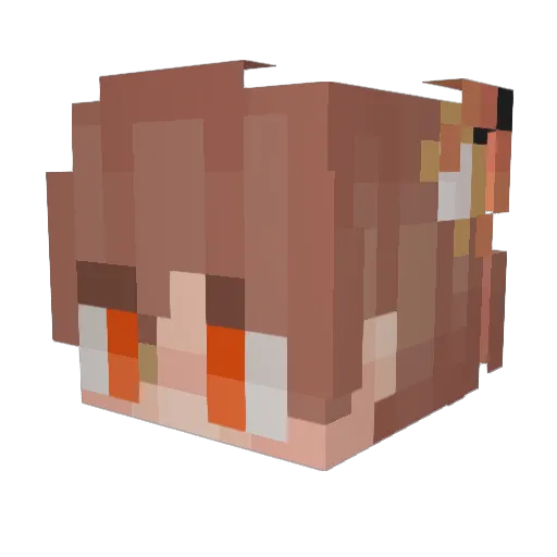 hajinkim090712 Minecraft avatar head, 3D render