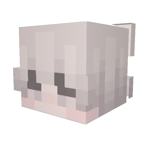 hajshs Minecraft avatar head, 3D render
