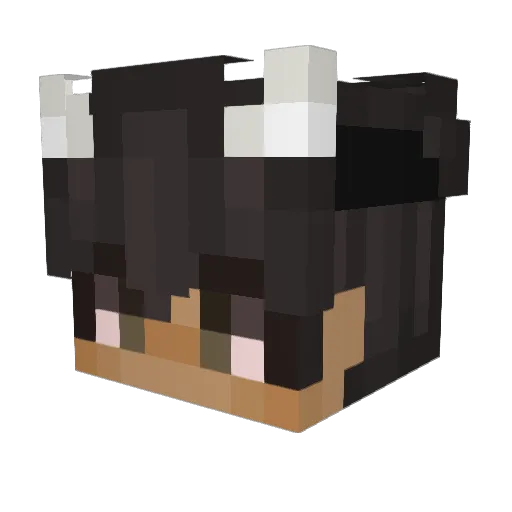 haken586 Minecraft avatar head, 3D render