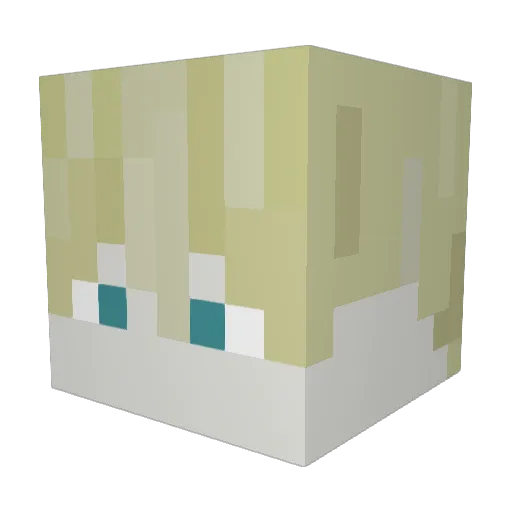 hako2015 Minecraft avatar head, 3D render