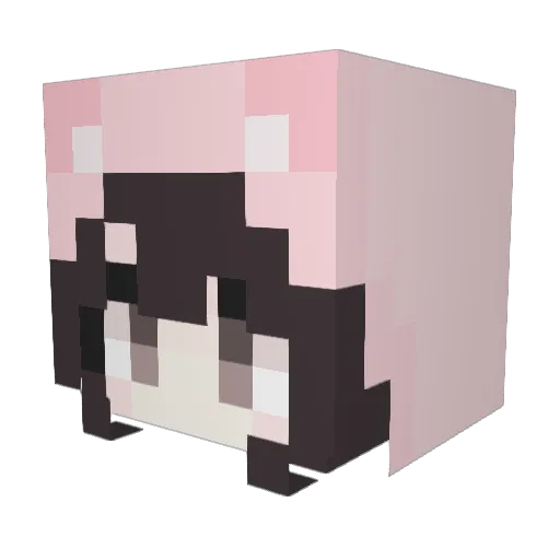 hakoi Minecraft avatar head, 3D render