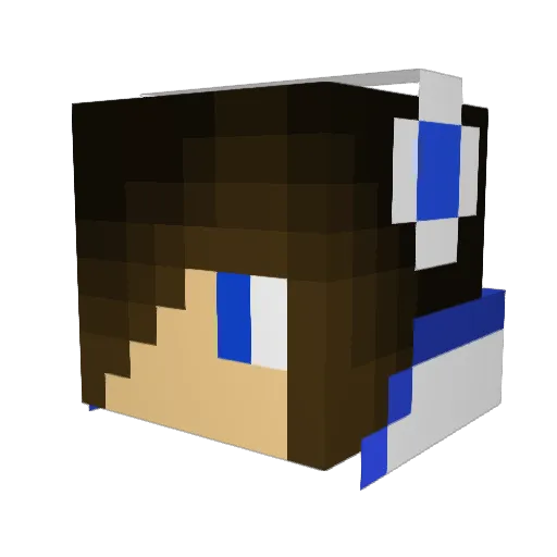 hakona00 Minecraft avatar head, 3D render
