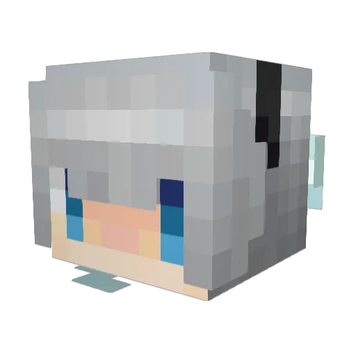 hakunon1211 Minecraft avatar head, 3D render