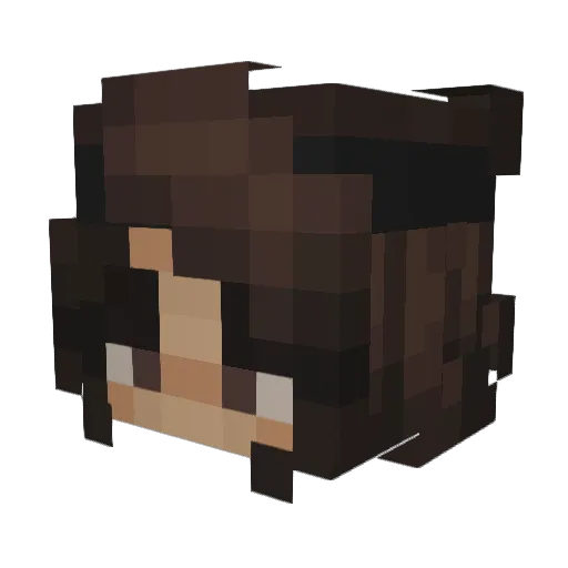 haless4276 Minecraft avatar head, 3D render