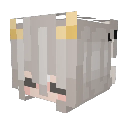 haley1108 Minecraft avatar head, 3D render