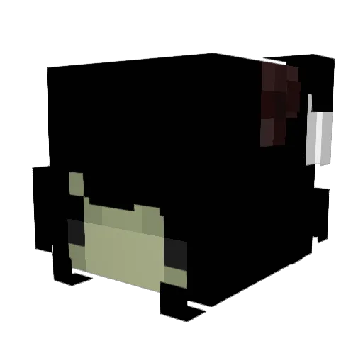 haleyismommy Minecraft avatar head, 3D render