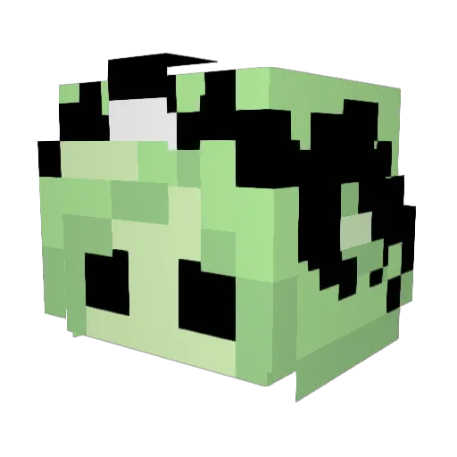 haleynina Minecraft avatar head, 3D render