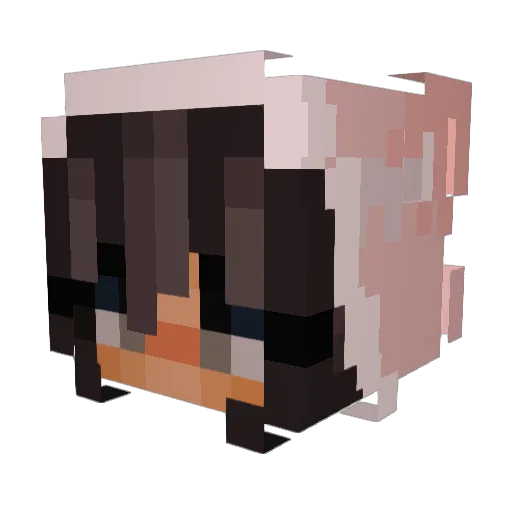 halfawish Minecraft avatar head, 3D render