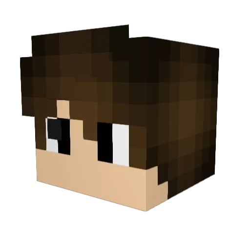 halfbrothers Minecraft avatar head, 3D render