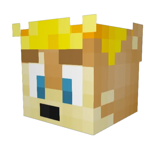 halfdim Minecraft avatar head, 3D render