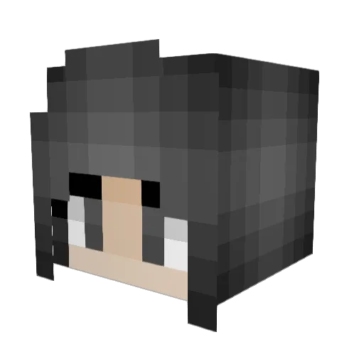 halflifefan13 Minecraft avatar head, 3D render