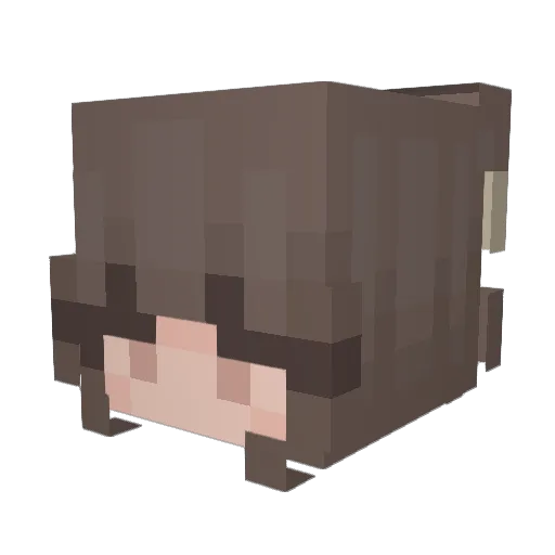 halfxperson Minecraft avatar head, 3D render