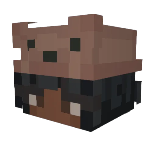 halicat77 Minecraft avatar head, 3D render