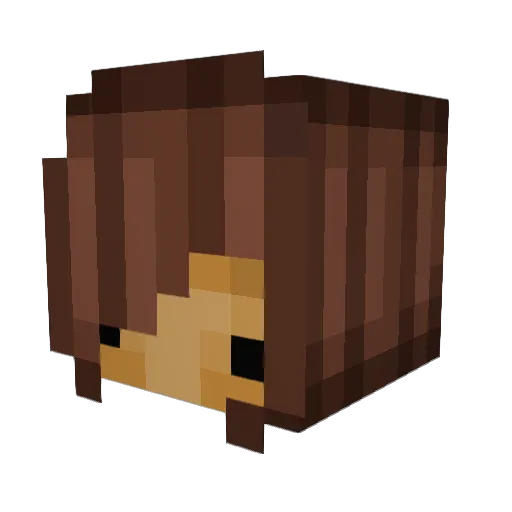 hallabreadd Minecraft avatar head, 3D render