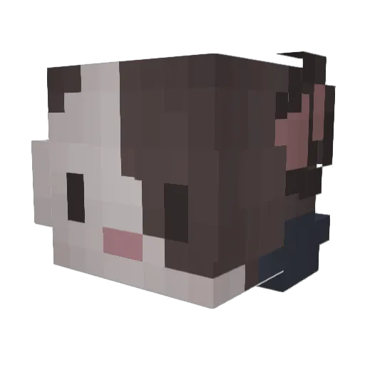 halloaki Minecraft avatar head, 3D render
