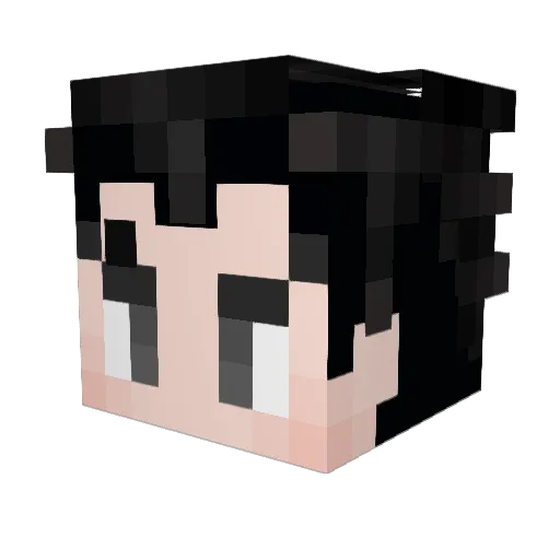 hallowbastion Minecraft avatar head, 3D render
