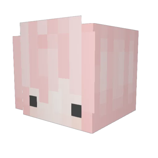 halo3dog1 Minecraft avatar head, 3D render