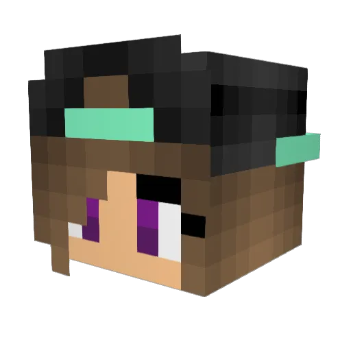 halpal20 Minecraft avatar head, 3D render