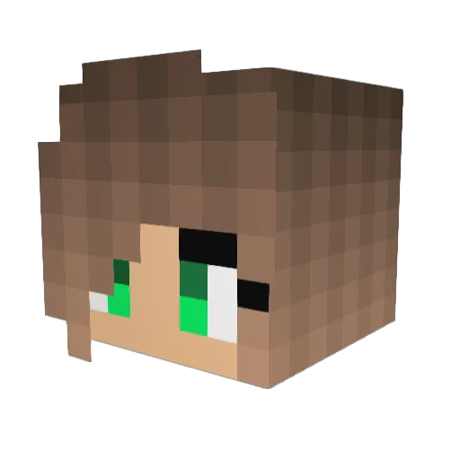 hals2319 Minecraft avatar head, 3D render