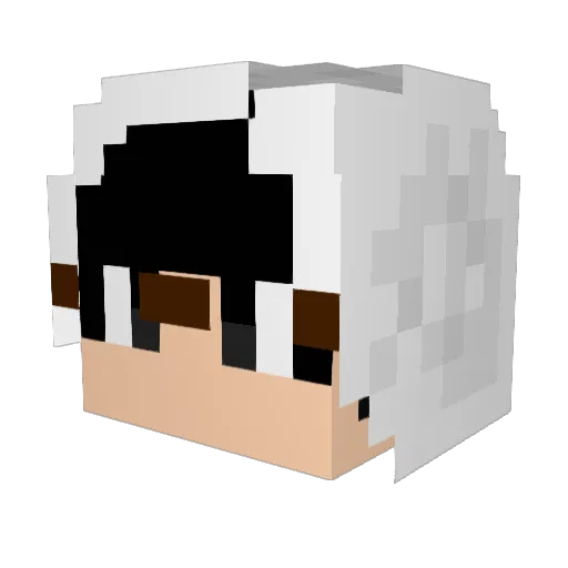 ham_park Minecraft avatar head, 3D render