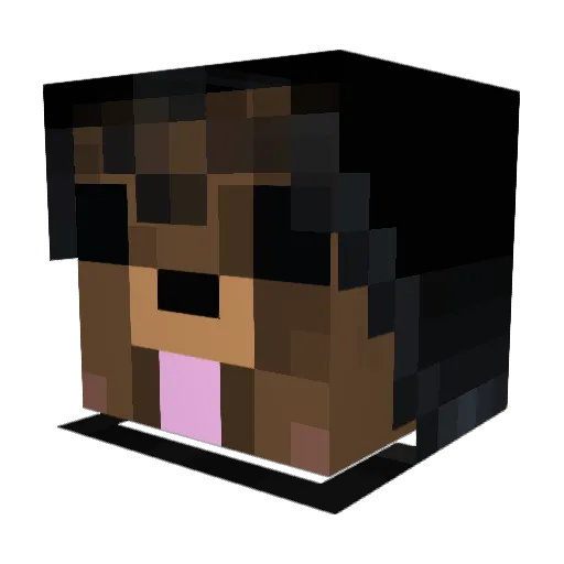 hamandeggs17 Minecraft avatar head, 3D render