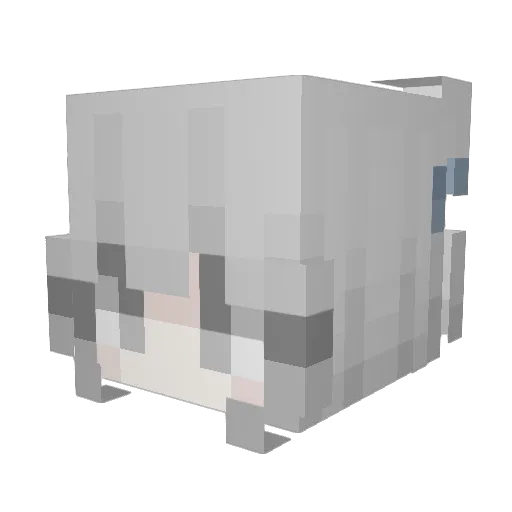 hambuns Minecraft avatar head, 3D render