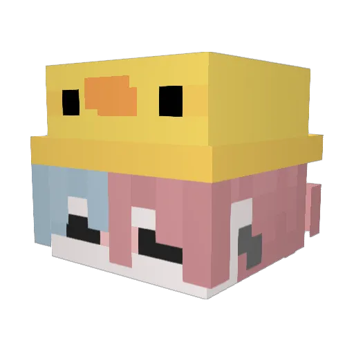 hamburgerryg Minecraft avatar head, 3D render