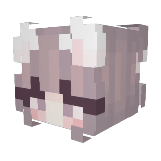 hamcookie123 Minecraft avatar head, 3D render